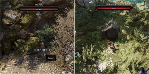 divinity original sin 2 peeper.